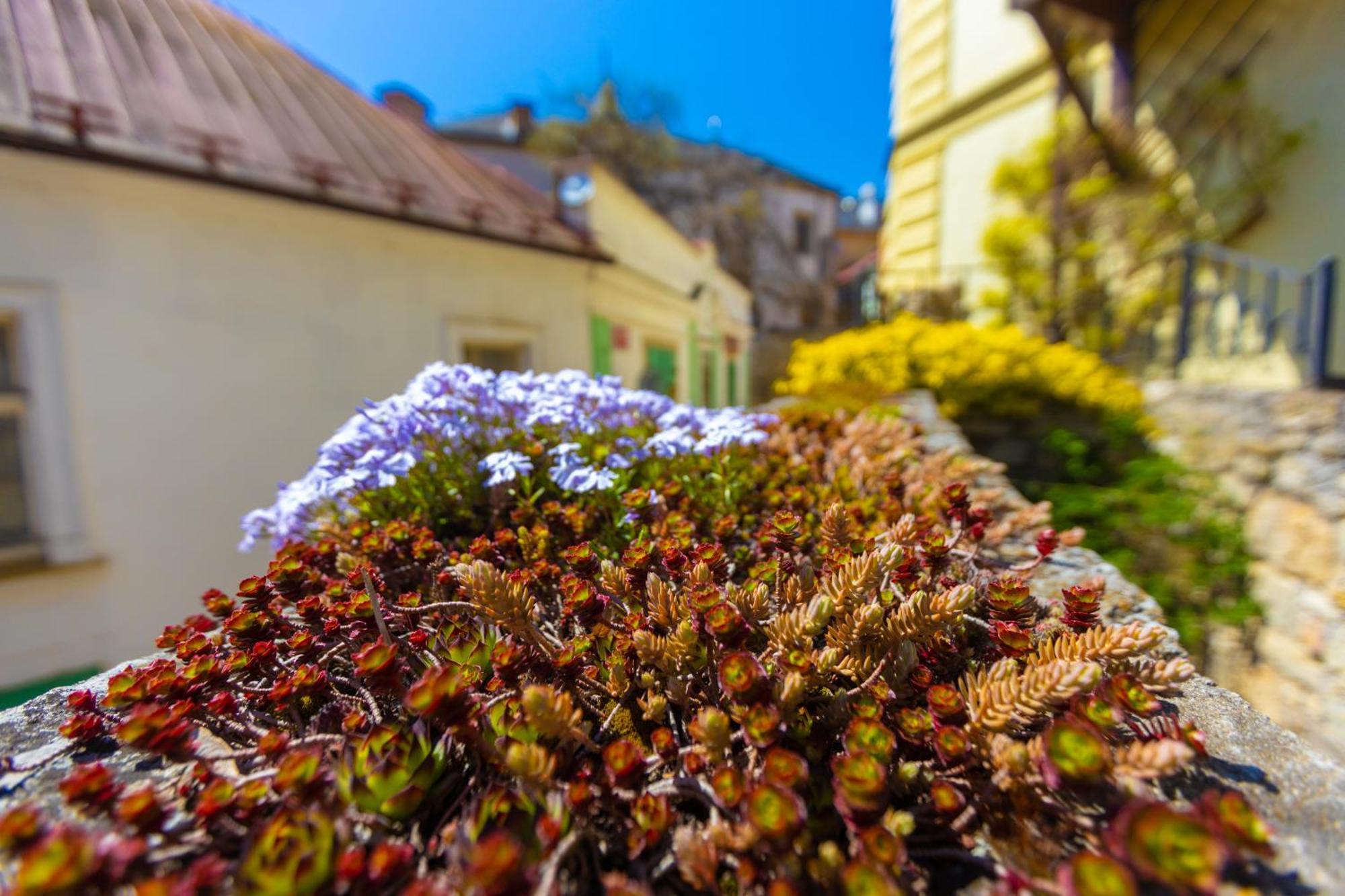 Penzion U Hrádku Kutná Hora Exterior foto